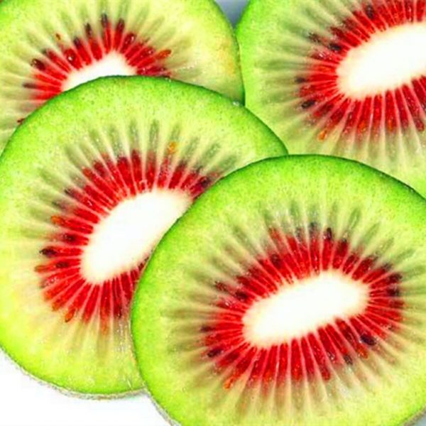 Rare Kiwi Fruit Seeds Fruit Seeds, 100pcs/pack – UrbanGardenSeed