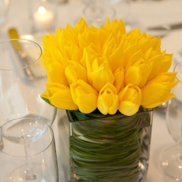 MultiVarieties Tulip Seeds, 100pcs/pack UrbanGardenSeed