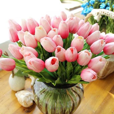 Rare Tulip Flower Bulbs From Holland Home Garden Flowers, 1pc ...